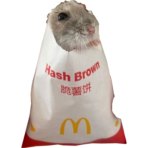 Rodent Assimilation Team